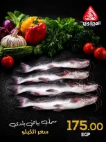 Offres Marché El Mahlawy de 2 à 3 juillet 2026 Fête du Poisson - Marché El Mahlawy - Egypte - 2 juillet 2026 – 3 juillet 2026 - Page 6