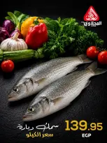 Offres Marché El Mahlawy de 2 à 3 juillet 2026 Fête du Poisson - Marché El Mahlawy - Egypte - 2 juillet 2026 – 3 juillet 2026 - Page 7