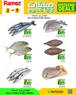 Ramez Markets offers in Salalah from 2 to 4 July 2026 Weekend Deals - Ramez Markets - Oman - 2 July 2026 – 4 July 2026 - Page 5