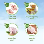 عروض النهضة المصرية بفرع العين من ٣ حتى ١٦ يوليو ٢٠٢٦ العرض الأسبوعي - النهضة المصرية - الإمارات - 3 يوليو 2026 – 16 يوليو 2026 - صفحة 2