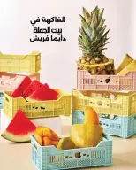 عروض بيت الجملة من ٦ حتى ٨ يوليو ٢٠٢٦ عروض الفريش فود - بيت الجملة - مصر - 6 يوليو 2026 – 8 يوليو 2026 - صفحة 1