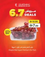 عروض تعاونية الإمارات الإمارات من ٧ حتى ٩ يوليو ٢٠٢٦ عروض منتصف الأسبوع - تعاونية الإمارات - الإمارات - 7 يوليو 2026 – 9 يوليو 2026 - صفحة 9