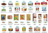 Ofertas de Ehab Elprince de 9 a 11 julio 2026 Ofertas de verano - Ehab Elprince - Egipto - 9 julio 2026 – 11 julio 2026 - Página 7
