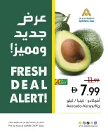عروض تعاونية عجمان من ٩ حتى ١٥ يوليو ٢٠٢٦ صفقات طازجة - تعاونية عجمان - الإمارات - 9 يوليو 2026 – 15 يوليو 2026 - صفحة 10