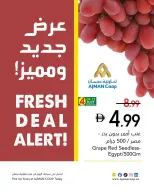 عروض تعاونية عجمان من ٩ حتى ١٥ يوليو ٢٠٢٦ صفقات طازجة - تعاونية عجمان - الإمارات - 9 يوليو 2026 – 15 يوليو 2026 - صفحة 7