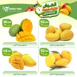 Offres Green Tree Egypte de 12 à 15 juillet 2026 Offres à durée limitée - Green Tree - Egypte - 12 juillet 2026 – 15 juillet 2026 - Page 2