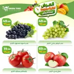 Offres Green Tree Egypte de 12 à 15 juillet 2026 Offres à durée limitée - Green Tree - Egypte - 12 juillet 2026 – 15 juillet 2026 - Page 3