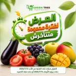 Offres Green Tree Egypte de 12 à 15 juillet 2026 Offres à durée limitée - Green Tree - Egypte - 12 juillet 2026 – 15 juillet 2026 - Page 1