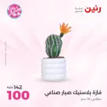 Offres Raneen de 14 à 15 juillet 2026 Offres de Cadeaux et Décorations - Raneen - Egypte - 14 juillet 2026 – 15 juillet 2026 - Page 49