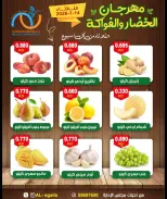 Alegaila co-op Kuwait offers Tuesday 14 July 2026 Vegetable and Fruit Festival - Alegaila co-op - Kuwait - 14 July 2026 – 14 July 2026 - Page 3
