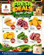 عروض نستو هايبر ماركت الكويت من ١٥ حتى ١٦ يوليو ٢٠٢٦ صفقات طازجة - نستو - الكويت - 15 يوليو 2026 – 16 يوليو 2026 - صفحة 1