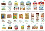 عروض ايهاب البرنس من ١٦ حتى ١٨ يوليو ٢٠٢٦ عروض الصيف - ايهاب البرنس - مصر - 16 يوليو 2026 – 18 يوليو 2026 - صفحة 6