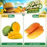 عروض جرين ترى مصر من ١٦ حتى ١٩ يوليو ٢٠٢٦ عروض لفترة محدودة - جرين ترى - مصر - 16 يوليو 2026 – 19 يوليو 2026 - صفحة 4