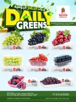 Ofertas de Nesto Bahréin de 16 a 18 julio 2026 Opciones diarias de verduras - Nesto - Bahréin - 16 julio 2026 – 18 julio 2026 - Página 3