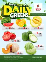 Ofertas de Nesto Bahréin de 16 a 18 julio 2026 Opciones diarias de verduras - Nesto - Bahréin - 16 julio 2026 – 18 julio 2026 - Página 1