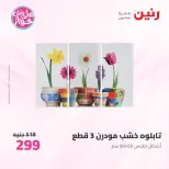 عروض رنين من ١٩ حتى ٢٠ يوليو ٢٠٢٦ عروض هدايا وديكورات - رنين - مصر - 19 يوليو 2026 – 20 يوليو 2026 - صفحة 14