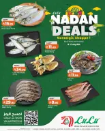 Lulu offers in Eastern Province from 3 to 5 Safar 1448 AH (19 – 21 July 2026) Nadan Deals - Lulu - Saudi Arabia - 19 July 2026 – 21 July 2026 - Page 3