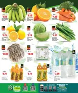 Offres Nouveau supermarché indien Qatar de 23 à 28 juillet 2026 Offres hebdomadaires - Nouveau supermarché indien - Qatar - 23 juillet 2026 – 28 juillet 2026 - Page 2