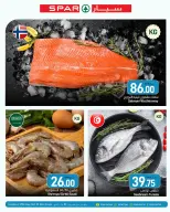 SPAR Qatar offers from 22 to 28 July 2026 Weekly Selection - SPAR - Qatar - 22 July 2026 – 28 July 2026 - Page 5