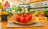 عروض المحلاوى ماركت من ٢٢ حتى ٢٤ يوليو ٢٠٢٦ عروض نهاية الأسبوع - المحلاوى ماركت - مصر - 22 يوليو 2026 – 24 يوليو 2026 - صفحة 13