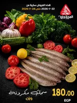 عروض المحلاوى ماركت من ٢٢ حتى ٢٤ يوليو ٢٠٢٦ عروض نهاية الأسبوع - المحلاوى ماركت - مصر - 22 يوليو 2026 – 24 يوليو 2026 - صفحة 4