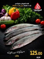 عروض المحلاوى ماركت من ٢٢ حتى ٢٤ يوليو ٢٠٢٦ عروض نهاية الأسبوع - المحلاوى ماركت - مصر - 22 يوليو 2026 – 24 يوليو 2026 - صفحة 1