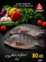 عروض المحلاوى ماركت من ٢٢ حتى ٢٤ يوليو ٢٠٢٦ عروض نهاية الأسبوع - المحلاوى ماركت - مصر - 22 يوليو 2026 – 24 يوليو 2026 - صفحة 2