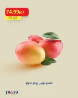 Metro Market Egypt offers from 30 July to 1 August 2026 Mango Festival - Metro Market - Egypt - 30 July 2026 – 1 August 2026 - Page 5