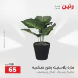 Ofertas de Raneen de 2 a 3 agosto 2026 Ofertas de Regalos y Decoraciones - Raneen - Egipto - 2 agosto 2026 – 3 agosto 2026 - Página 59