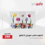 Ofertas de Raneen de 2 a 3 agosto 2026 Ofertas de Regalos y Decoraciones - Raneen - Egipto - 2 agosto 2026 – 3 agosto 2026 - Página 11