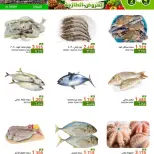 عروض أسواق رامز بفرع صلالة من ٢ حتى ٤ أغسطس ٢٠٢٦ العروض الطازجة - أسواق رامز - عمان - 2 اغسطس 2026 – 4 اغسطس 2026 - صفحة 4