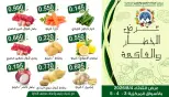 Offres Coopérative Moubarak Al Qurain seulement mardi 4 août 2026 Offre de fruits et légumes - Coopérative Moubarak Al Qurain - Koweït - 4 aout 2026 – 4 aout 2026 - Page 1