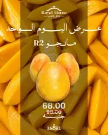 عروض رويال هاوس مصر الثلاثاء ٤ أغسطس ٢٠٢٦ عرض اليوم الواحد - رويال هاوس - مصر - 4 اغسطس 2026 – 4 اغسطس 2026 - صفحة 1