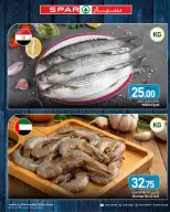 عروض سبار قطر من ٣ حتى ٩ أغسطس ٢٠٢٦ صفقات طازجة - سبار - قطر - 3 اغسطس 2026 – 9 اغسطس 2026 - صفحة 3