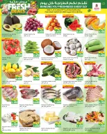 Ofertas de Nesto Hipermercados Fahaheel, Hawalli, Farwaniya de 5 a 10 agosto 2026 Ahorros masivos - Nesto - Kuwait - 5 agosto 2026 – 10 agosto 2026 - Página 20