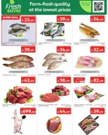 عروض كارفور السعودية من ٢٠ حتى ٢٦ صفر ١٤٤٨ هـ (٥ إلى ١١ أغسطس ٢٠٢٦) عروض صيفكم أوفر - كارفور - السعودية - 5 اغسطس 2026 – 11 اغسطس 2026 - صفحة 2