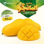 عروض جرين ترى مصر من ٦ حتى ٩ أغسطس ٢٠٢٦ مهرجان المانجو - جرين ترى - مصر - 6 اغسطس 2026 – 9 اغسطس 2026 - صفحة 11