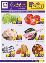 عروض جمعية أبوظبى التعاونية أدكووب من ٦ حتى ١٦ أغسطس ٢٠٢٦ عروض تسوق واربح - جمعية أبوظبى التعاونية أدكووب - الإمارات - 6 اغسطس 2026 – 16 اغسطس 2026 - صفحة 41