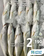 Offres HyperMax Koweït de 9 à 11 août 2026 Offres fraîches - HyperMax - Koweït - 9 aout 2026 – 11 aout 2026 - Page 5