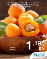 عروض هايبر ماكس عمان من ١٠ حتى ١٢ أغسطس ٢٠٢٦ صفقات طازجة - هايبر ماكس - عمان - 10 اغسطس 2026 – 12 اغسطس 2026 - صفحة 6