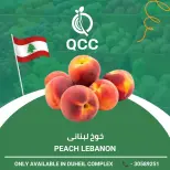 عروض القطرية للمجمعات الإستهلاكية قطر من ١١ حتى ١٧ أغسطس ٢٠٢٦ صفقات طازجة - القطرية للمجمعات الإستهلاكية - قطر - 11 اغسطس 2026 – 17 اغسطس 2026 - صفحة 3