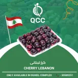 عروض القطرية للمجمعات الإستهلاكية قطر من ١١ حتى ١٧ أغسطس ٢٠٢٦ صفقات طازجة - القطرية للمجمعات الإستهلاكية - قطر - 11 اغسطس 2026 – 17 اغسطس 2026 - صفحة 8