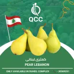 عروض القطرية للمجمعات الإستهلاكية قطر من ١١ حتى ١٧ أغسطس ٢٠٢٦ صفقات طازجة - القطرية للمجمعات الإستهلاكية - قطر - 11 اغسطس 2026 – 17 اغسطس 2026 - صفحة 6
