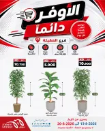 Meem Market offers in Alaqylh from 13 to 20 August 2026 Super Saver - Meem Market - Kuwait - 13 August 2026 – 20 August 2026 - Page 3