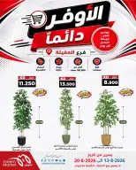 Meem Market offers in Alaqylh from 13 to 20 August 2026 Super Saver - Meem Market - Kuwait - 13 August 2026 – 20 August 2026 - Page 4