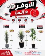 Meem Market offers in Alaqylh from 13 to 20 August 2026 Super Saver - Meem Market - Kuwait - 13 August 2026 – 20 August 2026 - Page 2