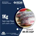 Oscar Grand Stores offers from 13 to 15 August 2026 Weekend Deals - Oscar Grand Stores - Egypt - 13 August 2026 – 15 August 2026 - Page 14