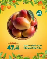Supeco Egypt offers from 13 to 19 August 2026 Mango Festival - Spinneys - Egypt - 13 August 2026 – 19 August 2026 - Page 12