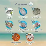 عروض النهضة المصرية بفرع أبوظبي من ١٤ حتى ٢٠ أغسطس ٢٠٢٦ العرض الأسبوعى - النهضة المصرية - الإمارات - 14 اغسطس 2026 – 20 اغسطس 2026 - صفحة 9