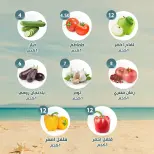 عروض النهضة المصرية بفرع أبوظبي من ١٤ حتى ٢٠ أغسطس ٢٠٢٦ العرض الأسبوعى - النهضة المصرية - الإمارات - 14 اغسطس 2026 – 20 اغسطس 2026 - صفحة 8